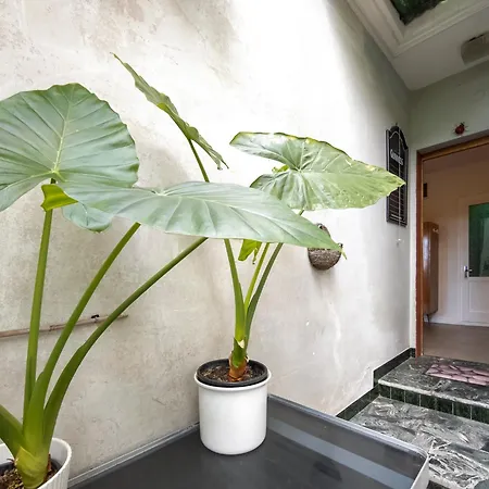 Apartma Serena Pod Piranskimi Zidovi - Serena Sotto Le Mura Di * Piran