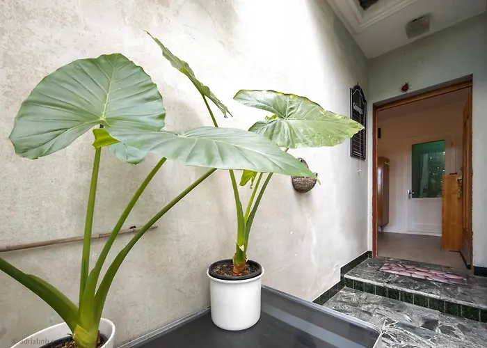 Apartma Serena Pod Piranskimi Zidovi - Serena Sotto Le Mura Di * 皮兰